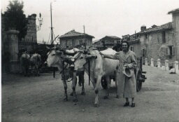 /medias/customer_2/NUMERISATION_2025/45 Fi Collection Pierre Allier/45_Fi_336_jpg_/0_0.jpg